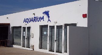 Costa Teguise - Lanzarote