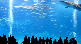Costa Teguise - Lanzarote