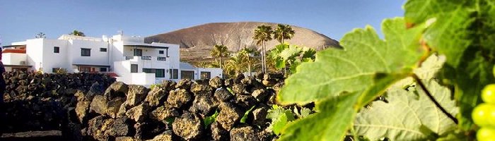 Finca de la Florida Rural House, San Bartolome, Lanzarote